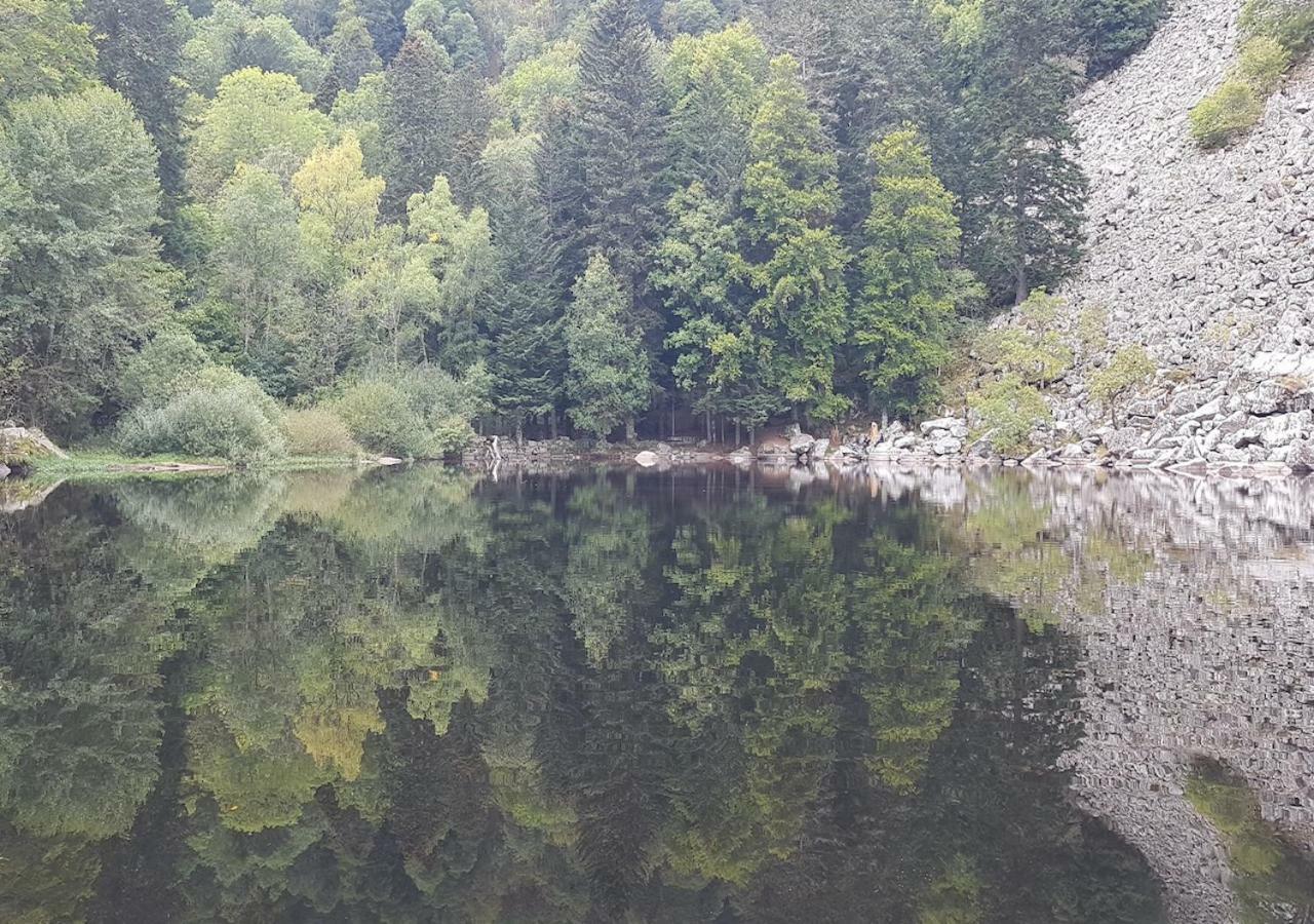 Naturezenkota Mittlach Exteriér fotografie