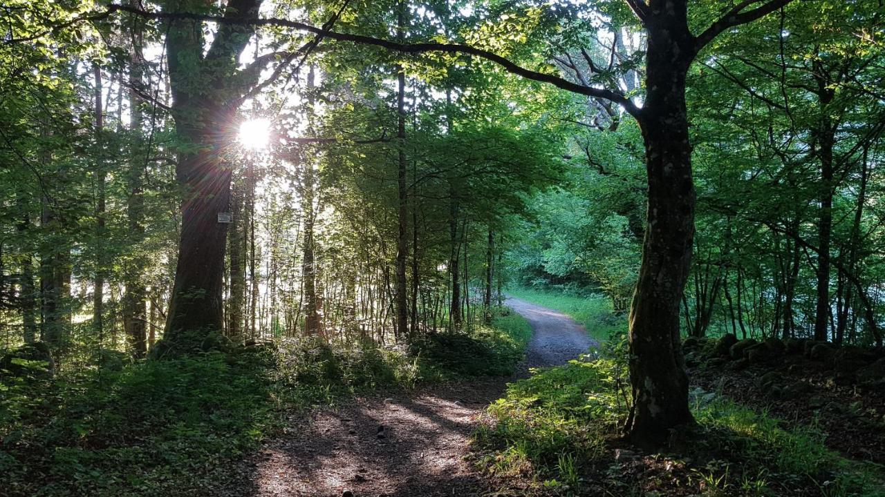 Naturezenkota Mittlach Exteriér fotografie
